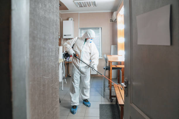 Best Residential Mold Inspection & Testing  in Birngham, MI