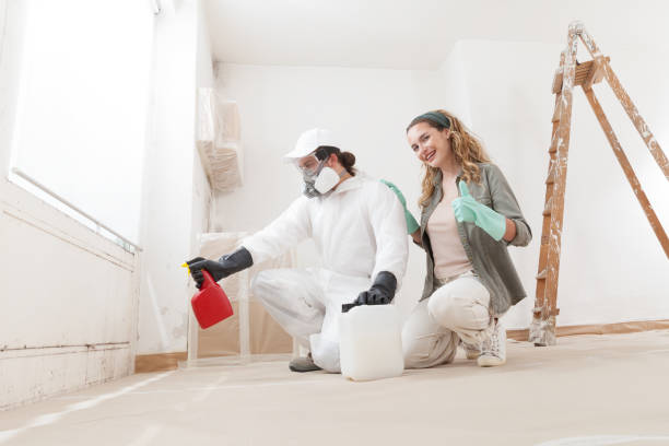 Best Emergency Mold Remediation  in Birngham, MI